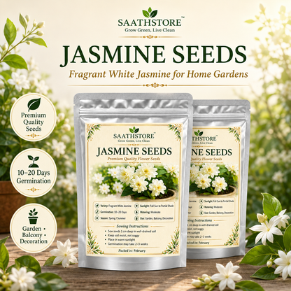 SAATHSTORE JASMINE SEEDS