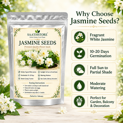 SAATHSTORE JASMINE SEEDS