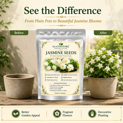 SAATHSTORE JASMINE SEEDS